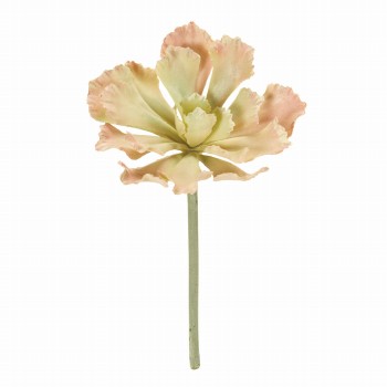 MAGIQ　レディエケベリア　ピンクグリーン　アーティフィシャルフラワー　造花　FG001933　多肉植物（葉高さ 約5×全長 約18×幅 約10cm / ピンクグリーン）