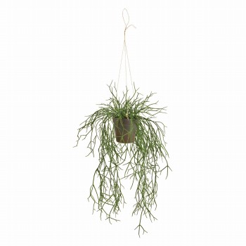 MAGIQ　リプサリス ハンギングポット　グリーン　アーティフィシャルフラワー　造花　FZ003900　観葉植物　サボテン（カクタス）（幅 約30×高さ 約60cm 鉢径 約11×高さ 約10cm / グリーン）