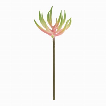 MAGIQ　アロエプティ　ピンクグリーン　アーティフィシャルフラワー　造花　FG001942-002　多肉植物（ピンクグリーン）