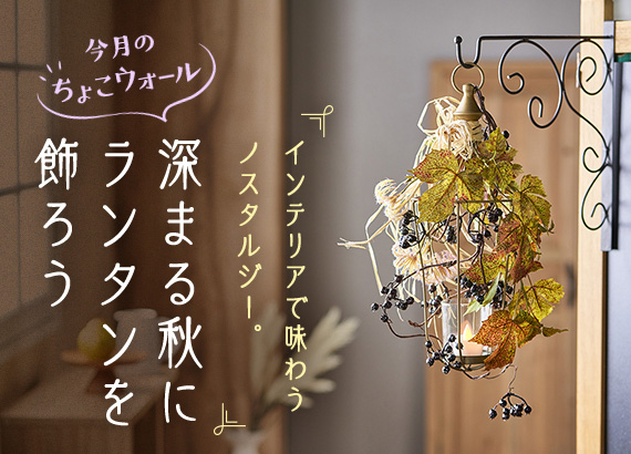 【今月のちょこウォール】アーティフィシャルフラワー（造花）とゴールドランタンで深まる秋のインテリア