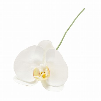 Winward　アミュゼ ファレノ　ホワイト　アーティフィシャルフラワー　造花　FW090184-001　胡蝶蘭（ホワイト）