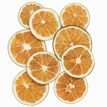 オレンジスライス　ナチュラルグリーン　ドライフラワー　DE019068　フルーツ（ナチュラルグリーン）