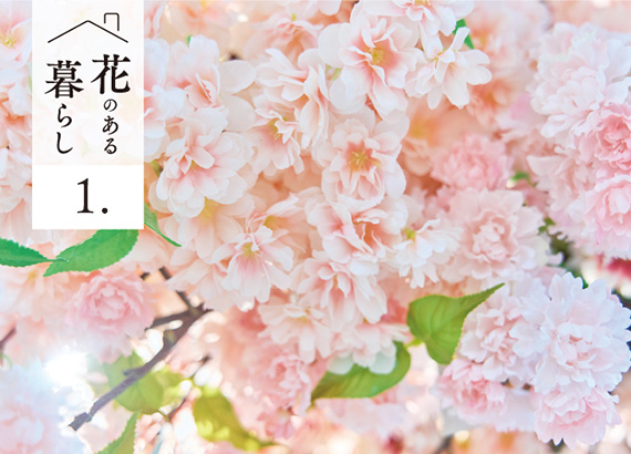 花のある暮らし#1　桜