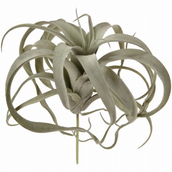 MAGIQ　ティランジア　ストレプトフィラ　グレイグリーン　アーティフィシャルフラワー　造花　FG001662-015　エアプランツ（グレーグリーン）