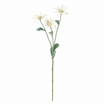 MAGIQ　フランネルスプレー　ホワイト　アーティフィシャルフラワー　造花　FM008778　デイジー　フランネルフラワー（花径7×長さ 約45cm / ホワイト）