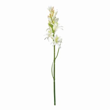 MAGIQ　ナチュールチューベローズ　ホワイトグリーン　アーティフィシャルフラワー　造花　その他　FM002515-001（ホワイトグリーン）