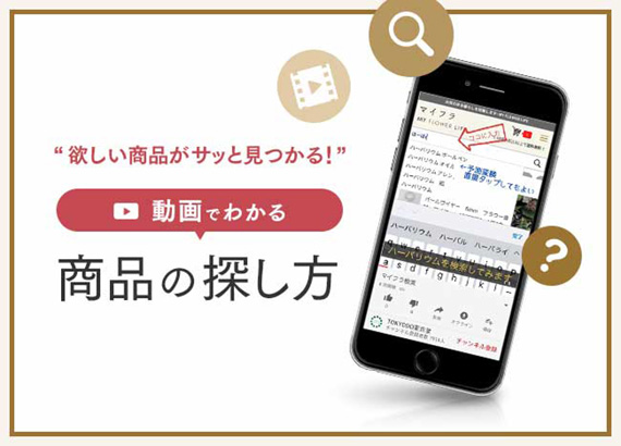 動画で解説！マイフラ商品検索の仕方