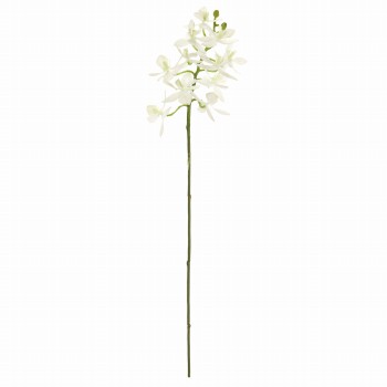 MAGIQ　ルシアファレノ　ホワイト　アーティフィシャルフラワー　造花　お正月　FM001256-001　胡蝶蘭　ファレノ（ホワイト）